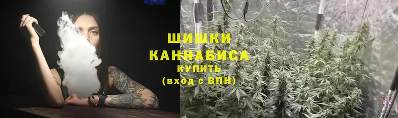 Канабис OG Kush  Стрежевой 